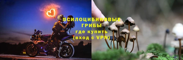 винт Бугульма